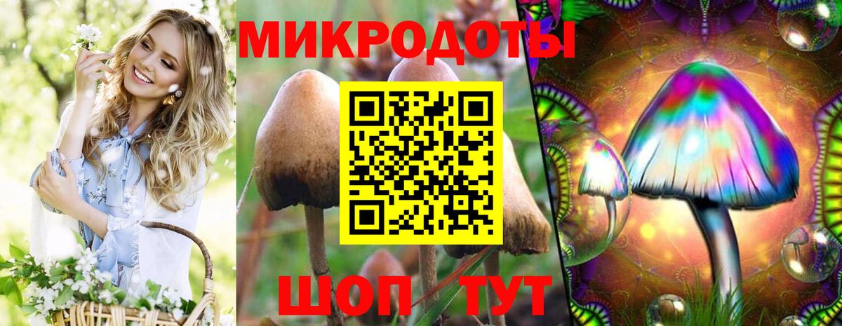 Галлюциногенные грибы GOLDEN TEACHER Ессентуки