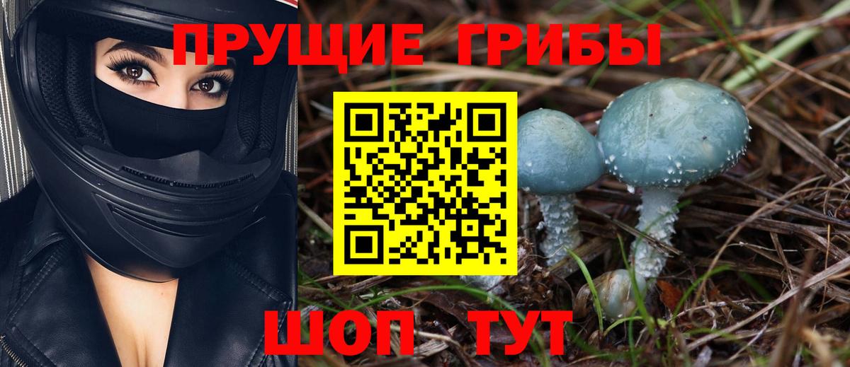 Псилоцибиновые грибы ЛСД  Вход с VPN  цены   Ессентуки 